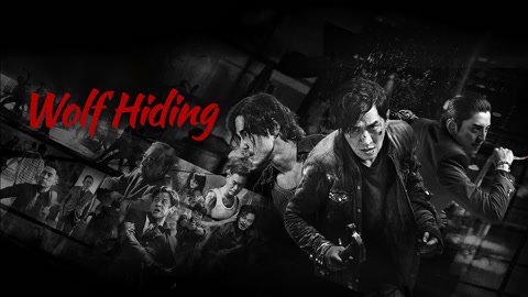 Wolf Hiding - VJ Emmy